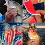 fb img 1754991574652