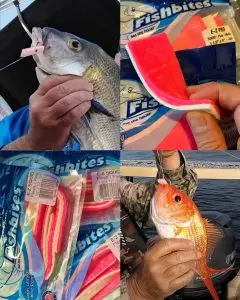 fb img 1754991574652