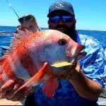 fb img 1766302829997