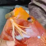 fb img 1766303214086