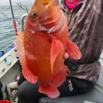 fb img 1766303242776