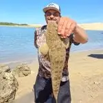 polish 20251221 094353899